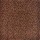 Kane Carpet: Shinig Star II Chocolate